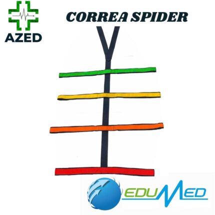 CORREA SPIDER