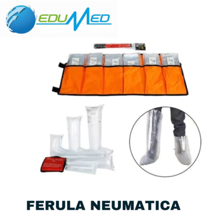 FERULA NEUMATICA BAS-12