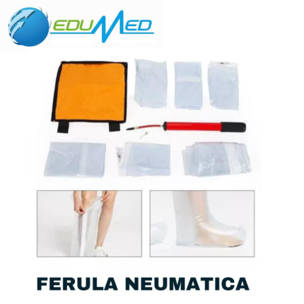 FERULA NEUMATICA BAS-12