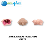SIMULADOR DE TRABAJO DE PARTO TM419B TECHMODEL