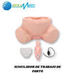 SIMULADOR DE TRABAJO DE PARTO TM419B TECHMODEL