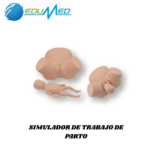 SIMULADOR DE TRABAJO DE PARTO TM419B TECHMODEL - Imagen 3