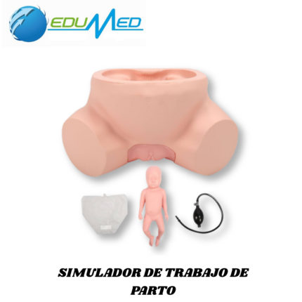 SIMULADOR DE TRABAJO DE PARTO TM419B TECHMODEL