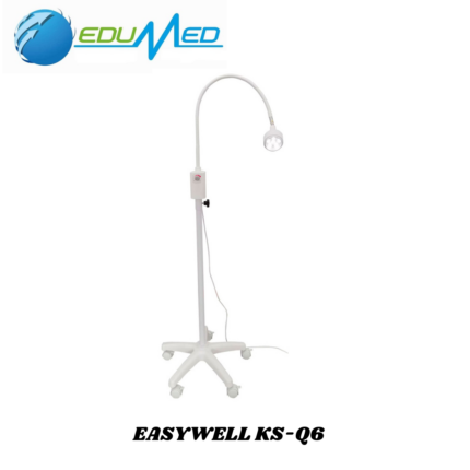 LAMPARA DE EXAMINACION CUELLO DE GANSO EASYWELL KS-Q6