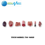 SIMULADOR DE TRAUMA DE 22 MODULOS TECH MODEL TM-401D